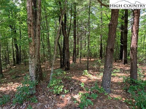 305 Wolf Pen Rd, Purlear, NC 28665 photo 17