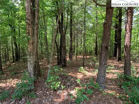305 Wolf Pen Rd, Purlear, NC 28665 photo 17