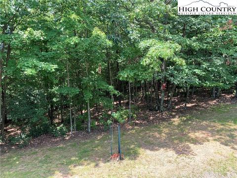 305 Wolf Pen Rd, Purlear, NC 28665 photo 15