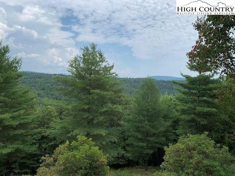 305 Wolf Pen Rd, Purlear, NC 28665 photo 10