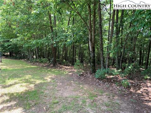 305 Wolf Pen Rd, Purlear, NC 28665 photo 16