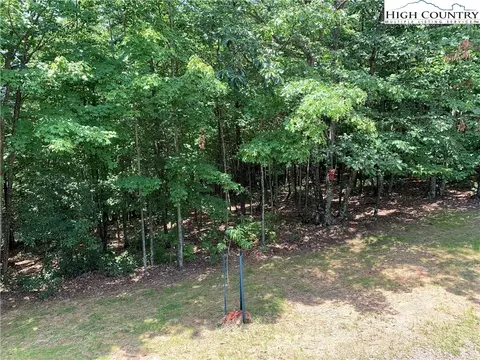 305 Wolf Pen Rd, Purlear, NC 28665 photo 15