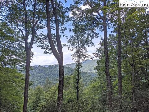 181 Bear Paw Rd, Deep Gap, NC 28618 photo 32