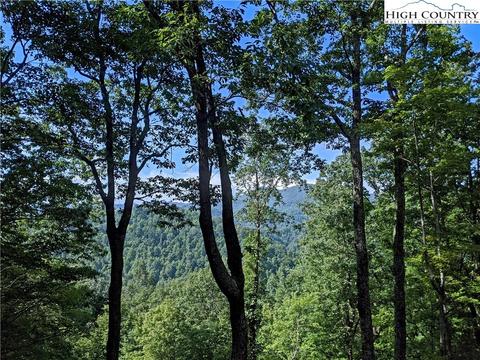 181 Bear Paw Rd, Deep Gap, NC 28618 photo 4