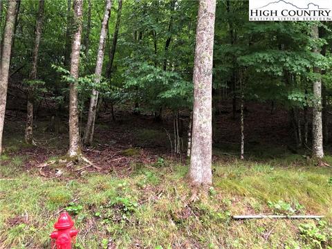 133 Chestnut Way Rd, Beech Mountain, NC 28604 photo 2