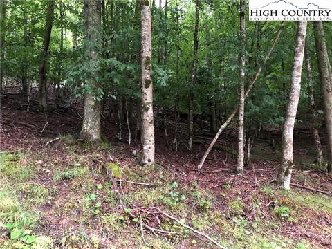 133 Chestnut Way Rd, Beech Mountain, NC 28604 photo 3