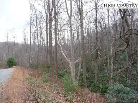 231 Pine Valley Road # drive, Boone, NC 28607 photo 6