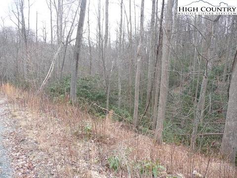 231 Pine Valley Road # drive, Boone, NC 28607 photo 12