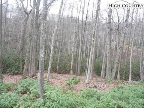231 Pine Valley Road # drive, Boone, NC 28607 photo 8