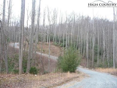 231 Pine Valley Road # drive, Boone, NC 28607 photo 2