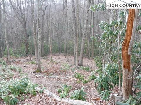 231 Pine Valley Road # drive, Boone, NC 28607 photo 10