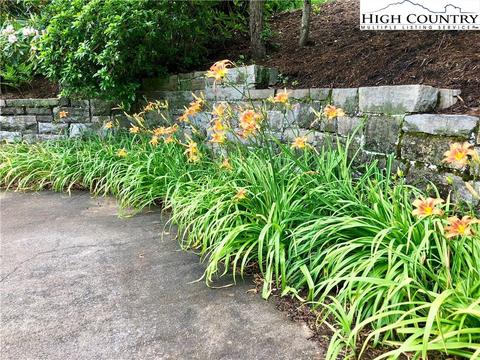 300 Cherry Dr, Boone, NC 28607 photo 49
