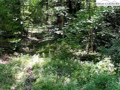 1330 Rash School Rd, Creston, NC 28615 photo 33