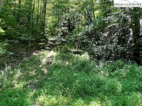 1330 Rash School Rd, Creston, NC 28615 photo 32