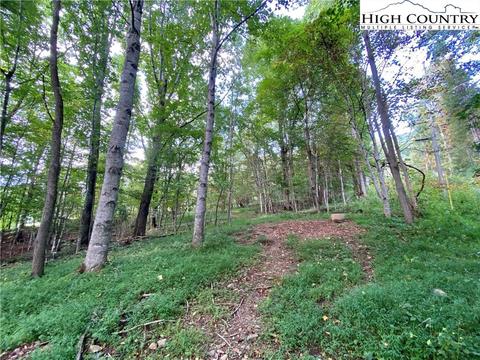 1485 Vanderpool Rd, Vilas, NC 28692 photo 18