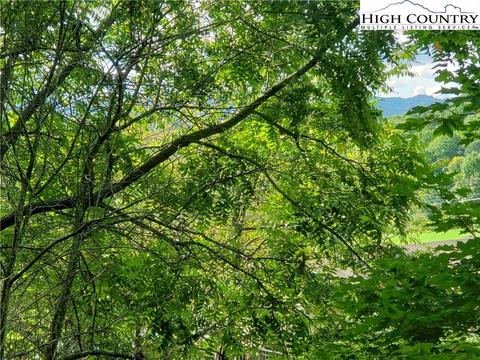 1485 Vanderpool Rd, Vilas, NC 28692 photo 31