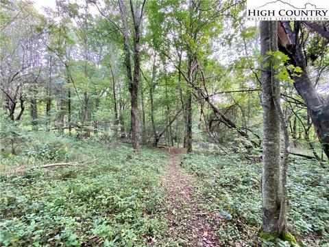 1485 Vanderpool Rd, Vilas, NC 28692 photo 24