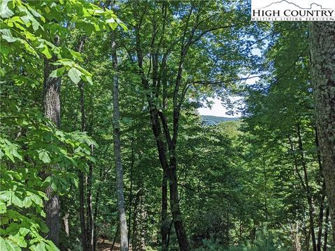 584 Horse Shoe Ridge E Rd, Deep Gap, NC 28618 photo 20