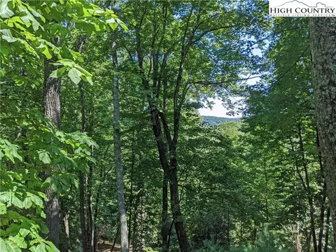 584 Horse Shoe Ridge E Rd, Deep Gap, NC 28618 photo 20