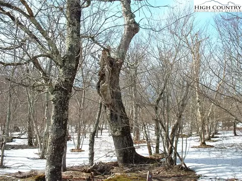 104 Oz Cir, Beech Mountain, NC 28604 photo 3