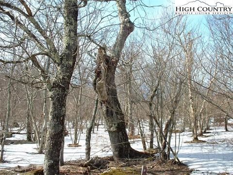 104 Oz Cir, Beech Mountain, NC 28604 photo 3