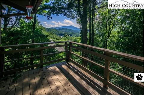 207 Spruce, Boone, NC 28607 photo 20