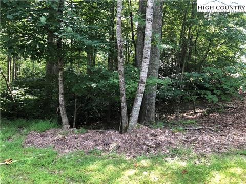1014 Pine Ridge Rd, Beech Mountain, NC 28604 photo 7