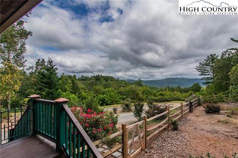 868 Staghorn Rd, Purlear, NC 28665 photo 2