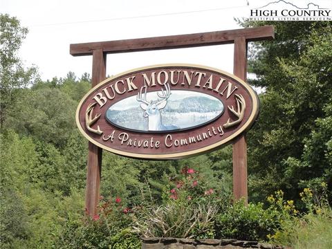 868 Staghorn Rd, Purlear, NC 28665 photo 45