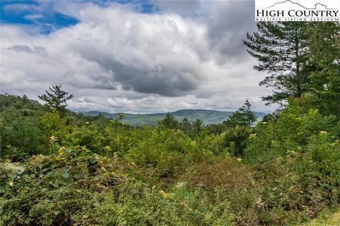 868 Staghorn Rd, Purlear, NC 28665 photo 11