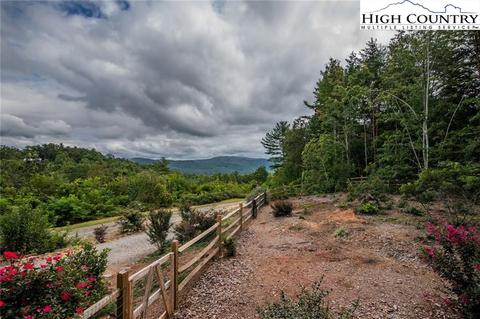 868 Staghorn Rd, Purlear, NC 28665 photo 41