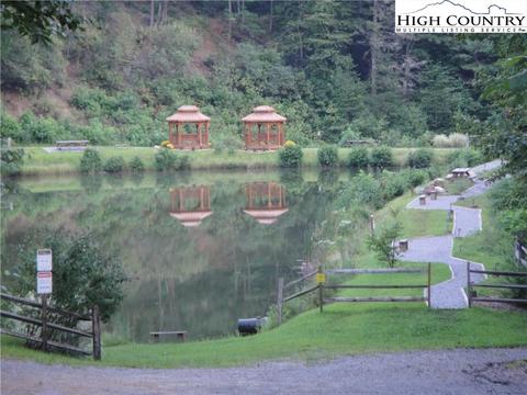 868 Staghorn Rd, Purlear, NC 28665 photo 47