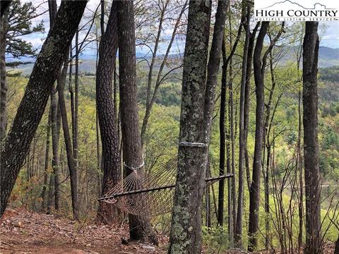 868 Staghorn Rd, Purlear, NC 28665 photo 46