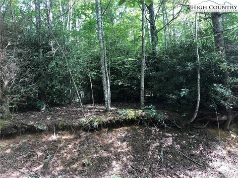 108 Chicory Ln, Beech Mountain, NC 28604 photo 3