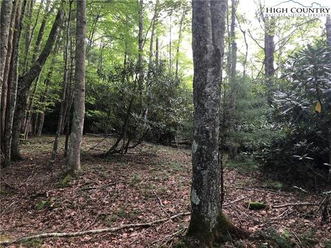 108 Chicory Ln, Beech Mountain, NC 28604 photo 1