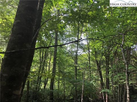 108 Chicory Ln, Beech Mountain, NC 28604 photo 2