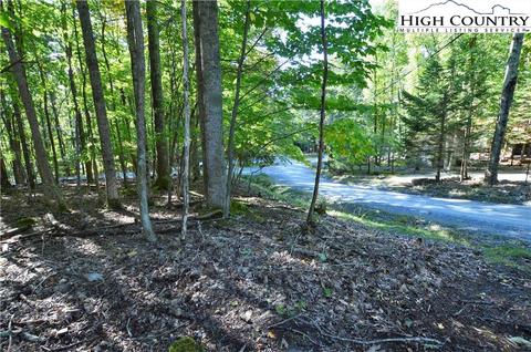 105 Teaberry Trl, Beech Mountain, NC 28604 photo 13