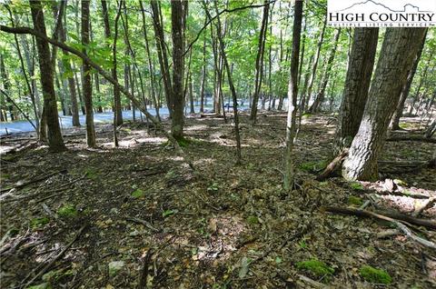 105 Teaberry Trl, Beech Mountain, NC 28604 photo 8
