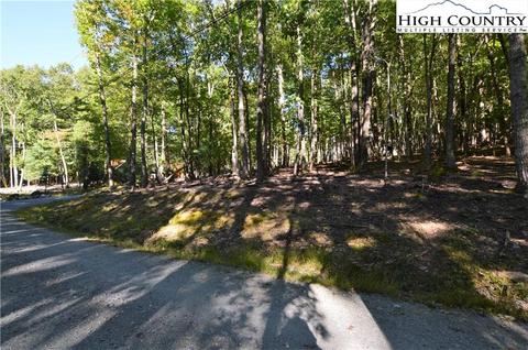 105 Teaberry Trl, Beech Mountain, NC 28604 photo 4