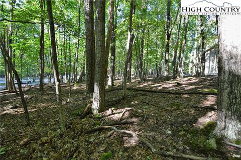 105 Teaberry Trl, Beech Mountain, NC 28604 photo 7