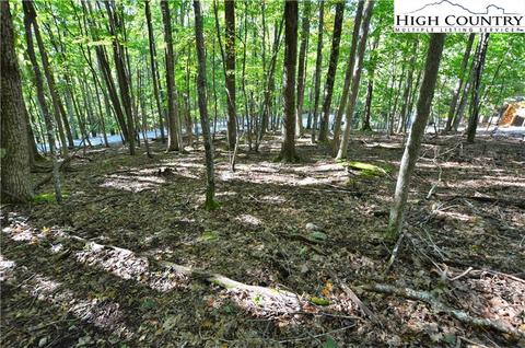 105 Teaberry Trl, Beech Mountain, NC 28604 photo 10