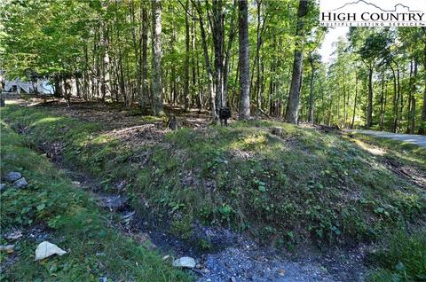 105 Teaberry Trl, Beech Mountain, NC 28604 photo 17