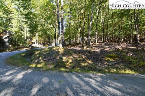 105 Teaberry Trl, Beech Mountain, NC 28604 photo 3