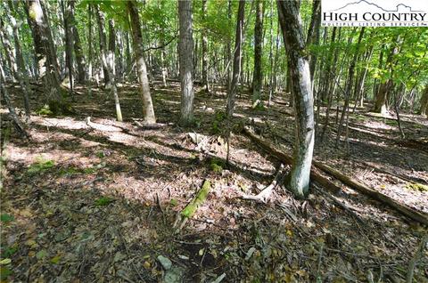 105 Teaberry Trl, Beech Mountain, NC 28604 photo 5