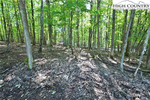 105 Teaberry Trl, Beech Mountain, NC 28604 photo 12