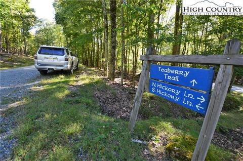 105 Teaberry Trl, Beech Mountain, NC 28604 photo 18