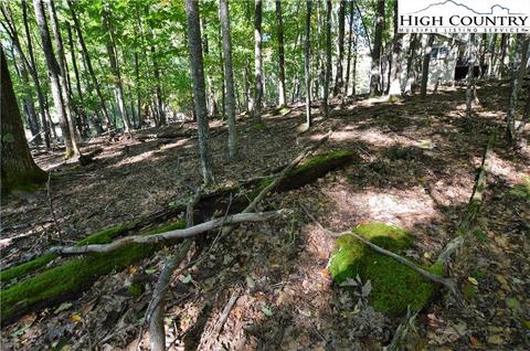 105 Teaberry Trl, Beech Mountain, NC 28604 photo 6