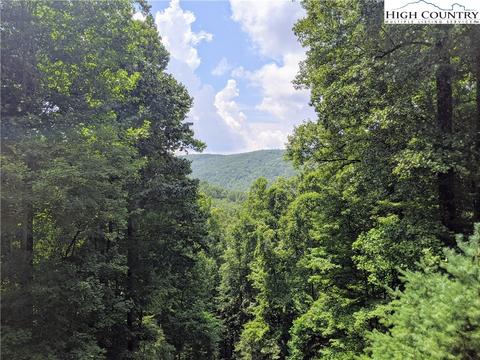 163 Twisting Trl, Deep Gap, NC 28618 photo 4