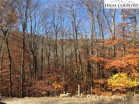 116 Pond Creek Rd, Beech Mountain, NC 28604 photo 1