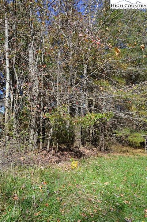 91 Parkview Dr, Sparta, NC 28675 photo 32
